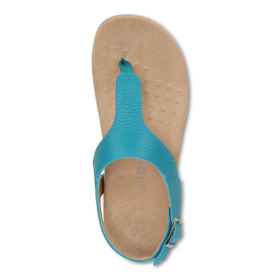 Lake Blue Terra Sandal Vionic