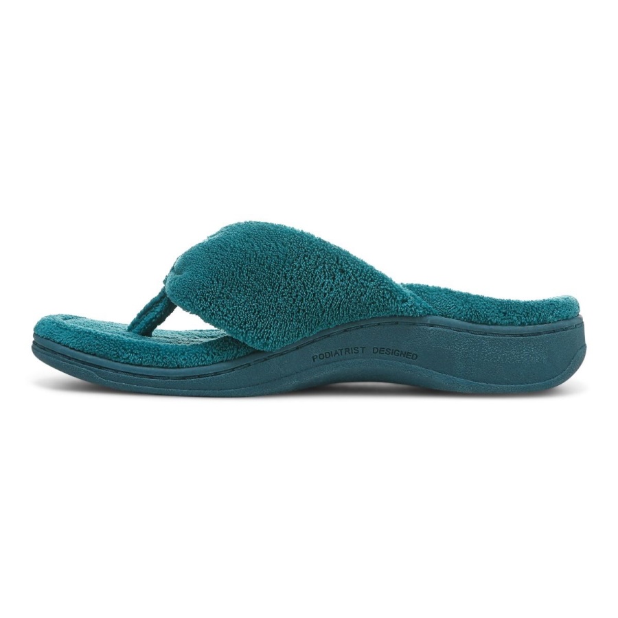 Nile Blue Vionic Gracie Toe Post Slipper
