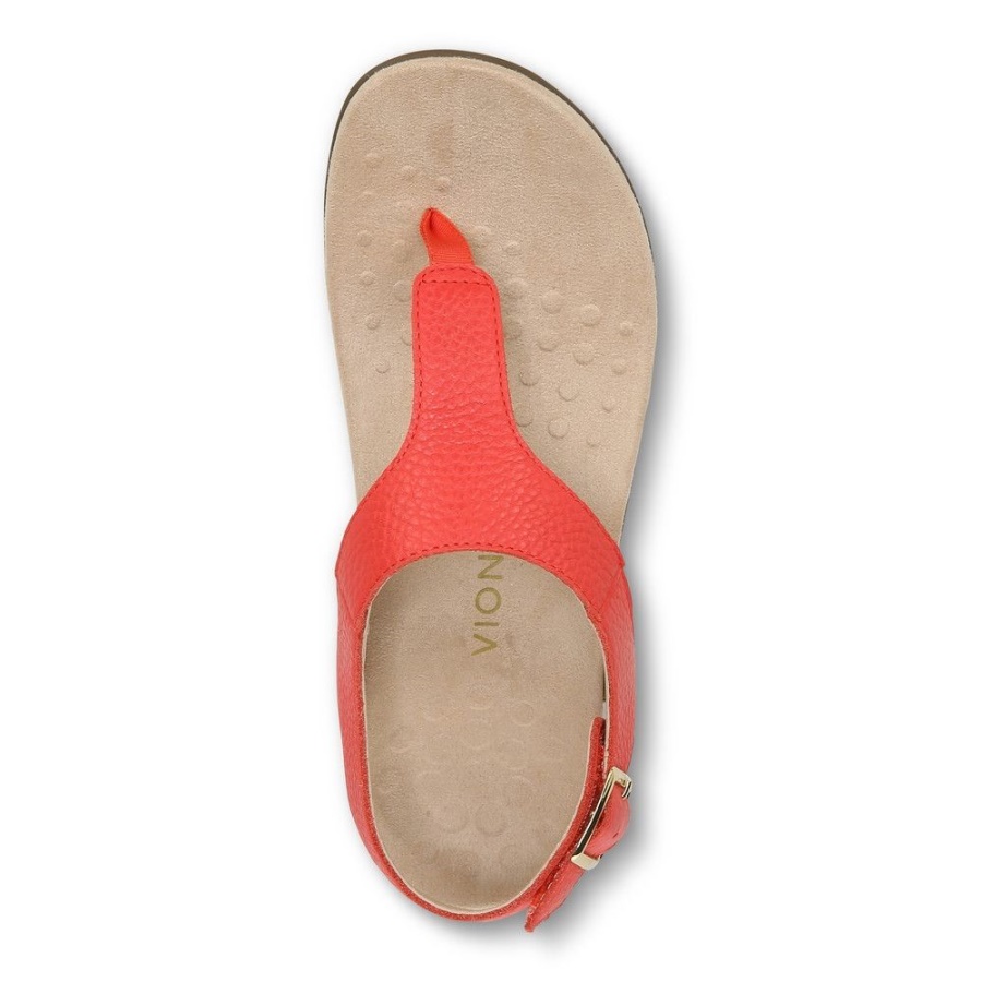 Terra Sandal Poppy Vionic