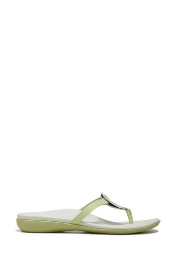 Vionic Green Raysa Thong Sandals