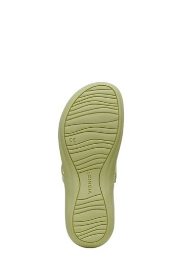 Vionic Green Raysa Thong Sandals
