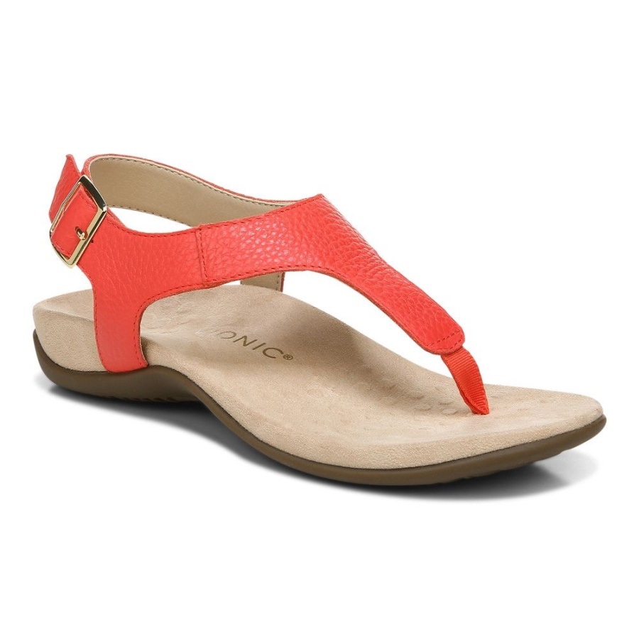 Terra Sandal Poppy Vionic